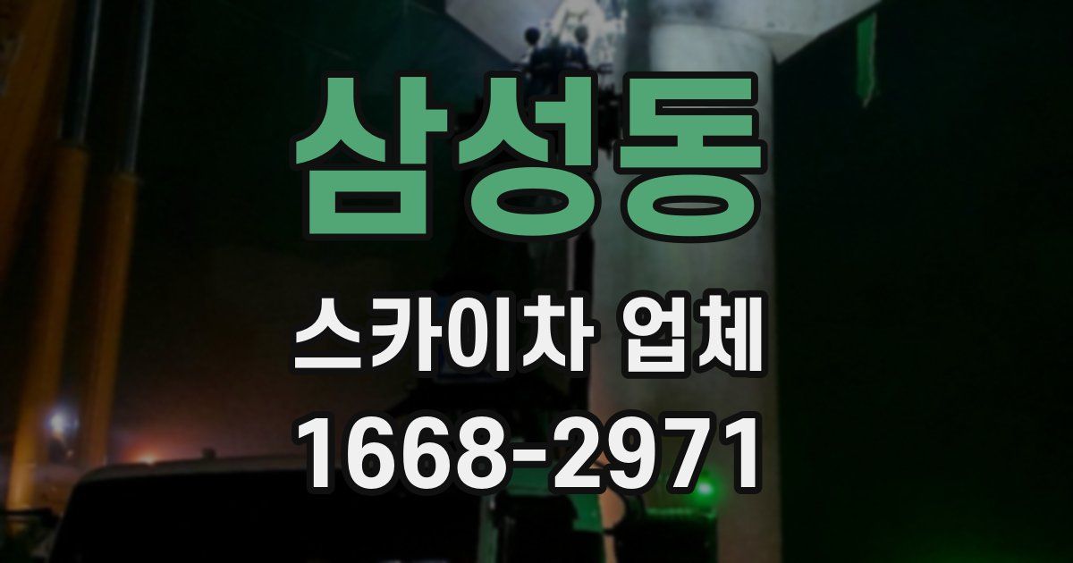 삼성동 스카이차 업체