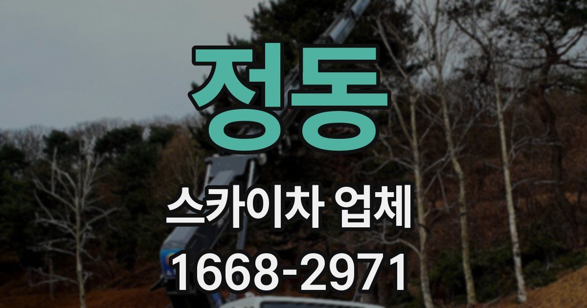 정동 스카이차 업체
