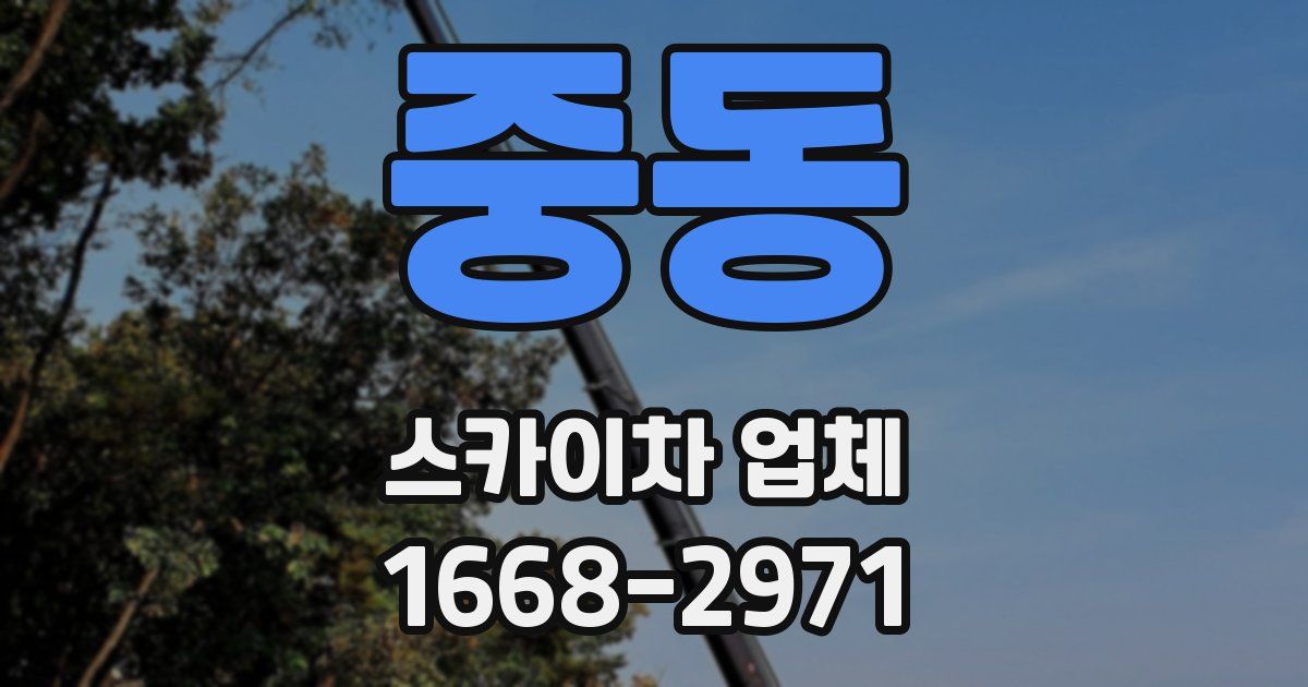 중동 스카이차 업체