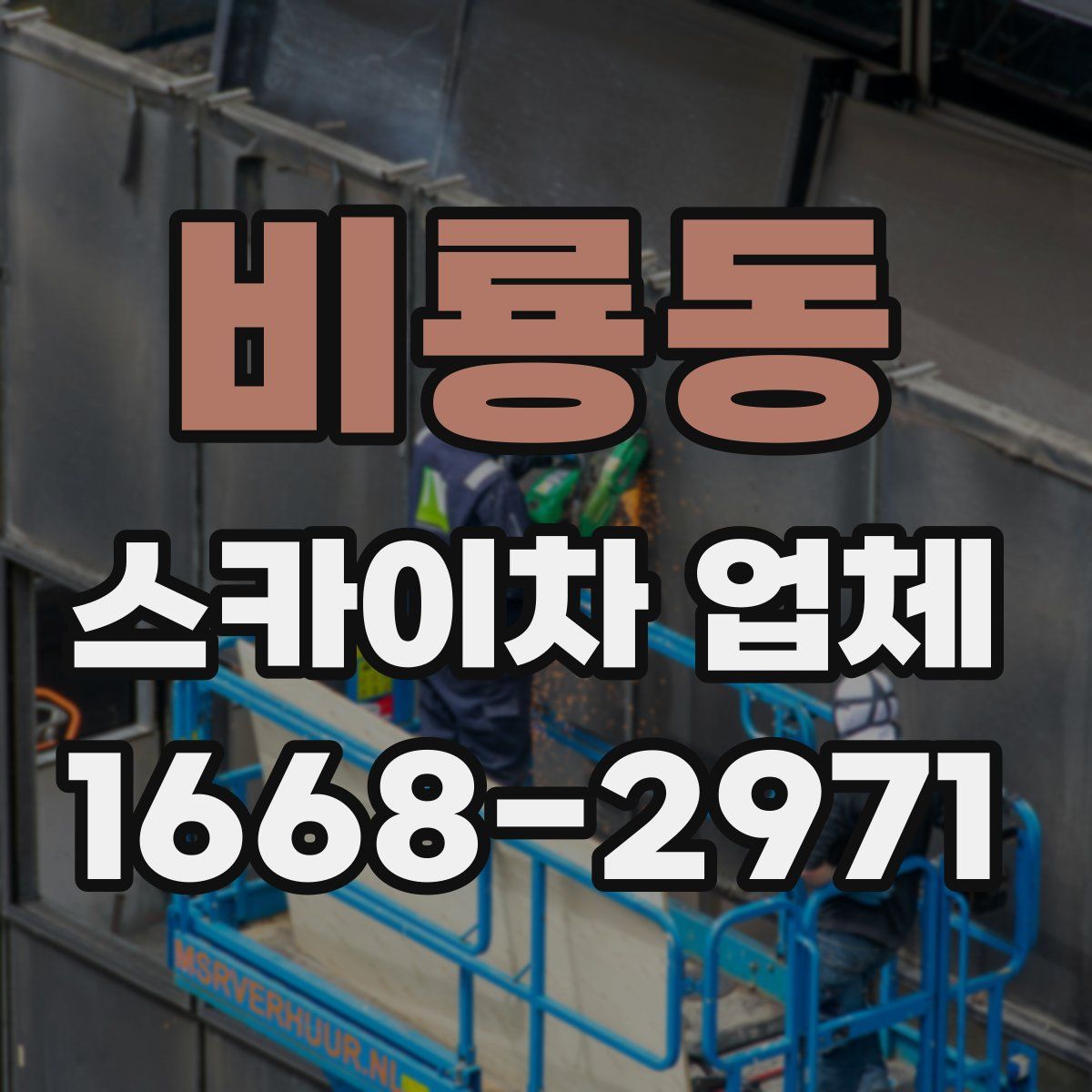 비룡동 스카이차 업체