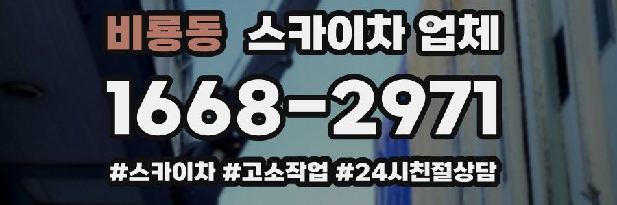 비룡동 스카이차 업체