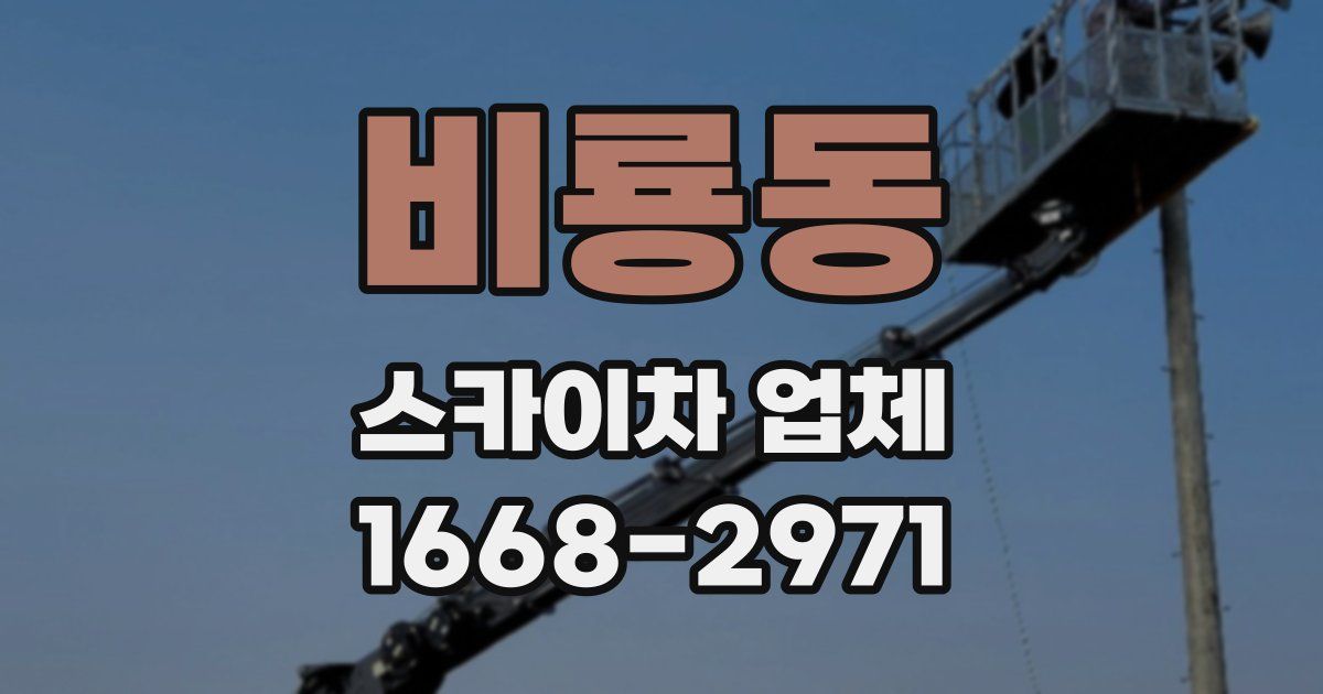 비룡동 스카이차 업체