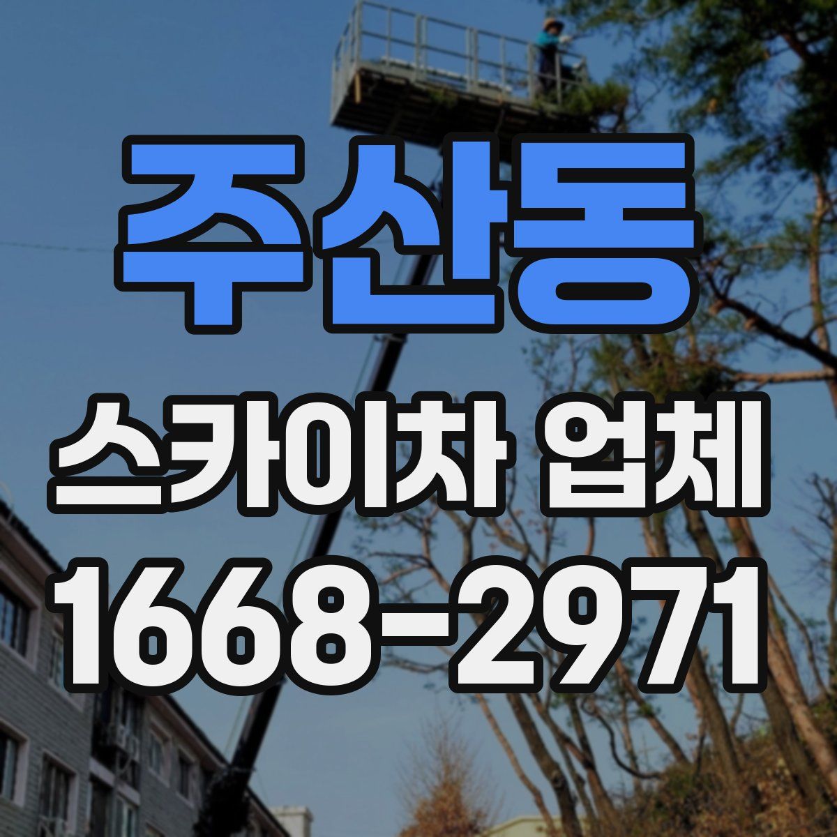 주산동 스카이차 업체