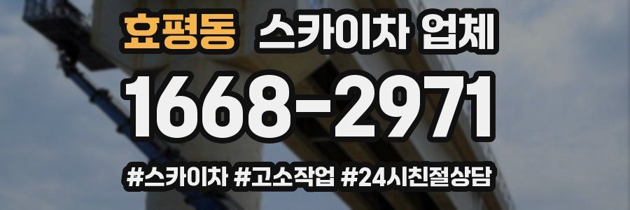 효평동 스카이차 업체