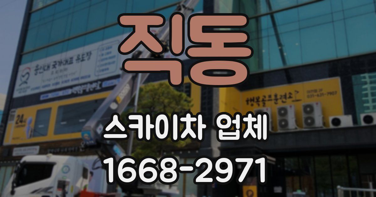 직동 스카이차 업체