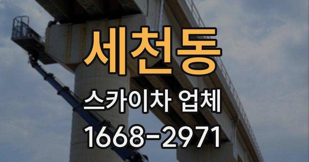 세천동 스카이차 업체