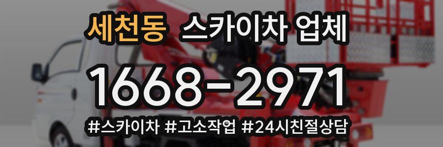 세천동 스카이차 업체