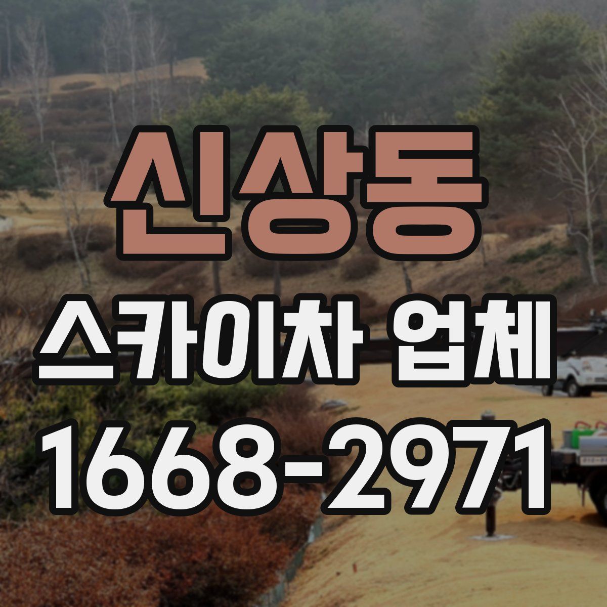 신상동 스카이차 업체
