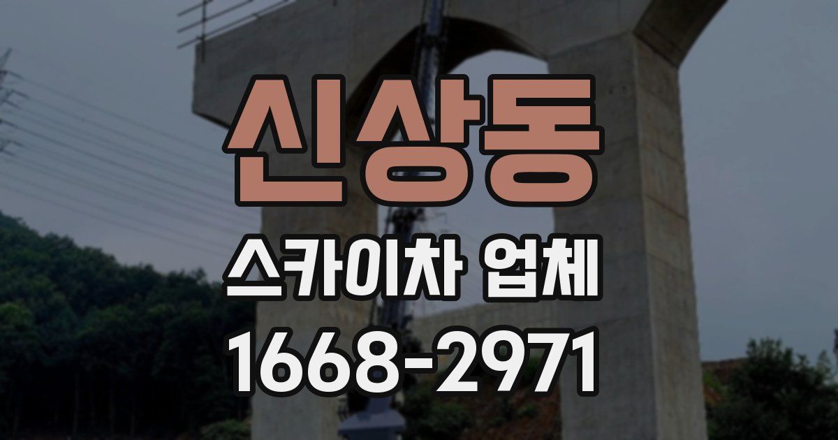 신상동 스카이차 업체