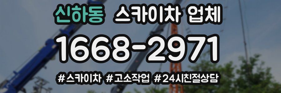 신하동 스카이차 업체