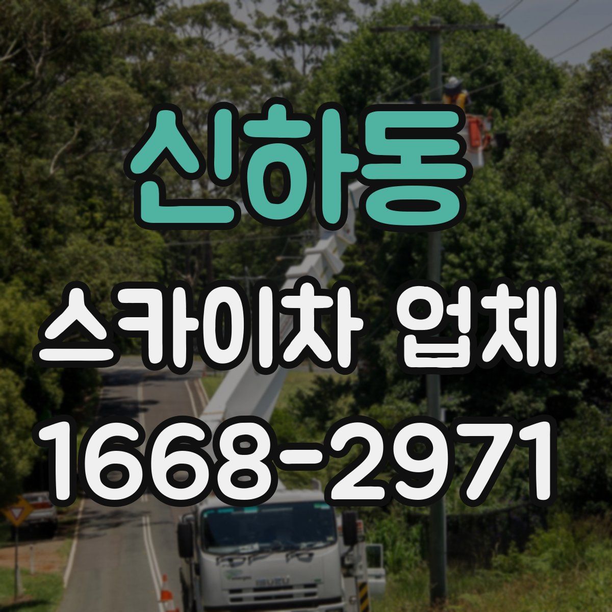 신하동 스카이차 업체