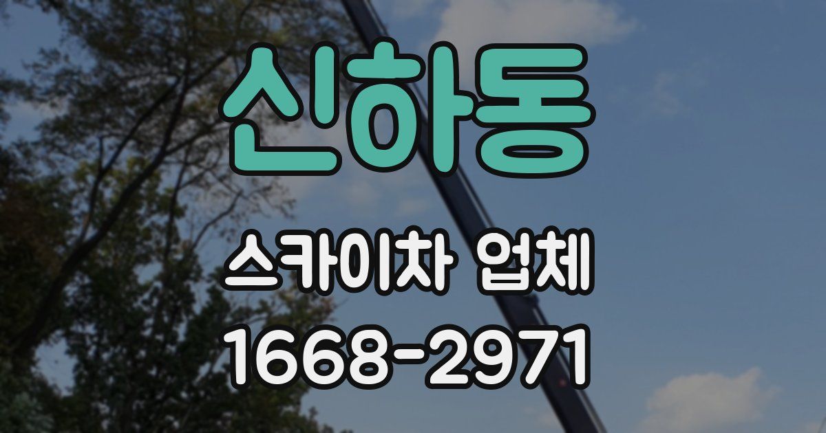 신하동 스카이차 업체