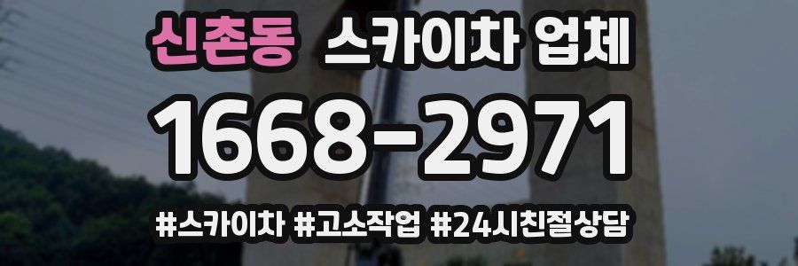 신촌동 스카이차 업체