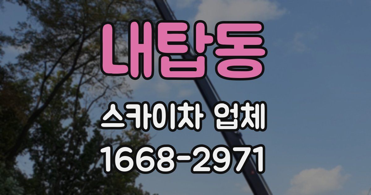 내탑동 스카이차 업체