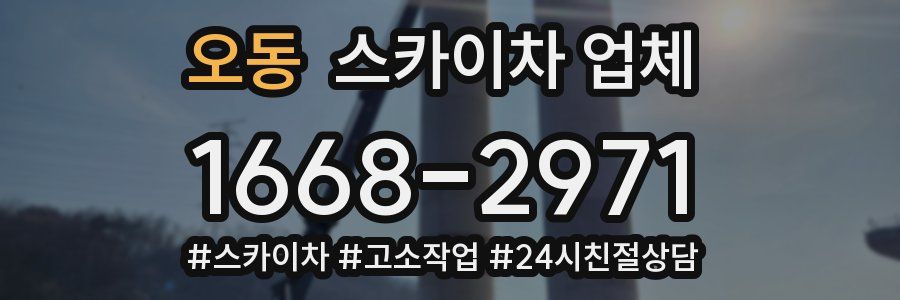 오동 스카이차 업체
