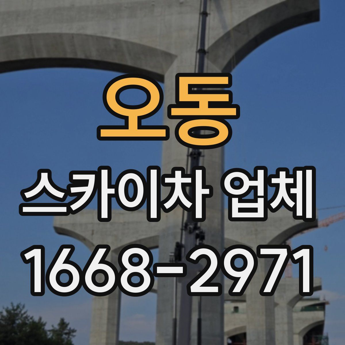 오동 스카이차 업체