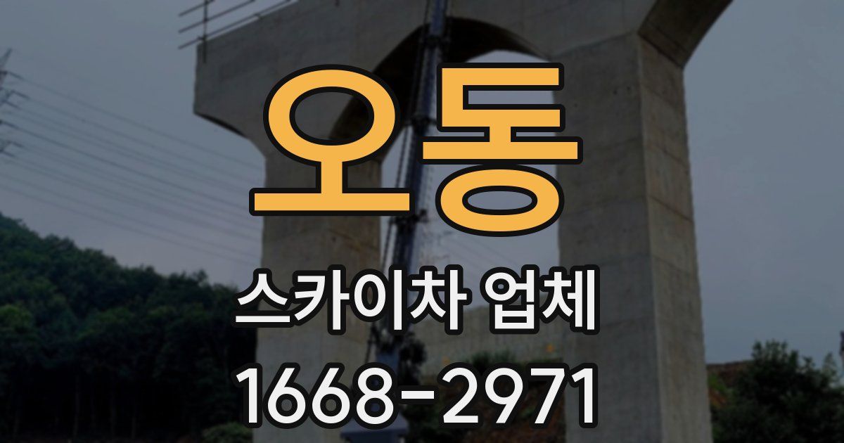 오동 스카이차 업체