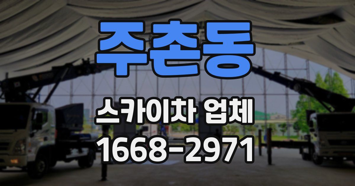 주촌동 스카이차 업체
