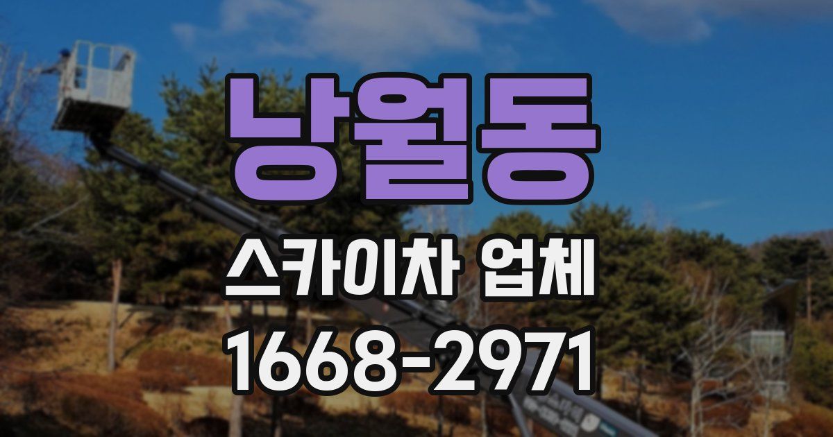 낭월동 스카이차 업체