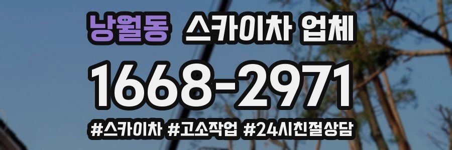 낭월동 스카이차 업체
