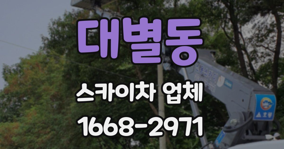 대별동 스카이차 업체