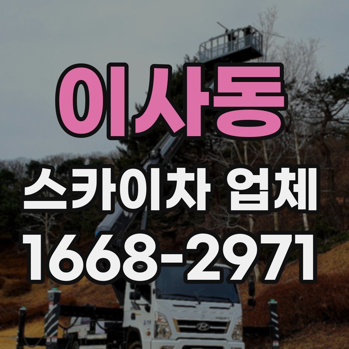 이사동 스카이차 업체