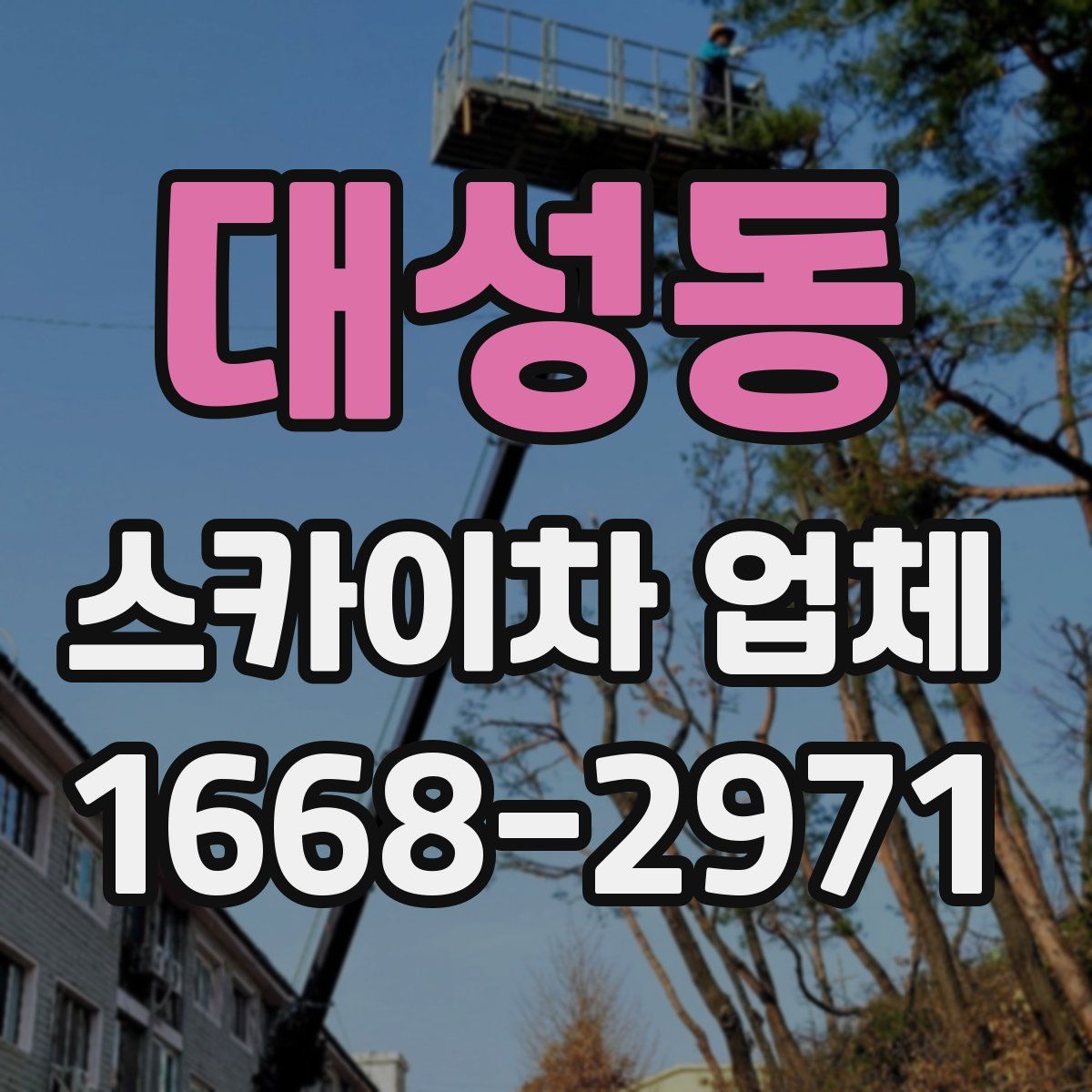 대성동 스카이차 업체