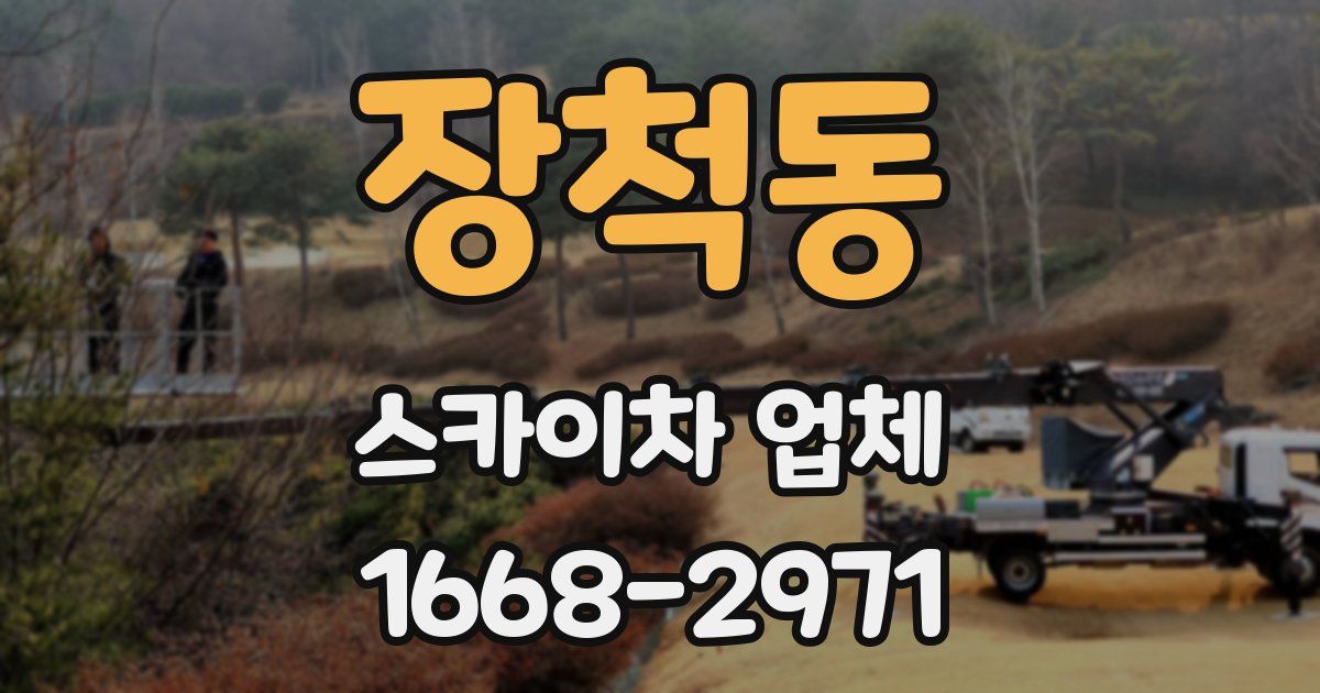 장척동 스카이차 업체