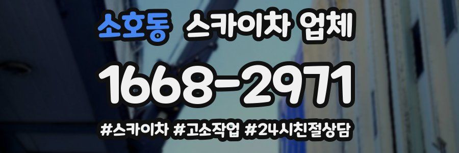 소호동 스카이차 업체