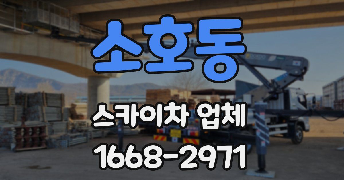 소호동 스카이차 업체