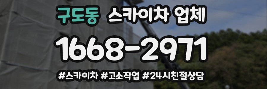 구도동 스카이차 업체