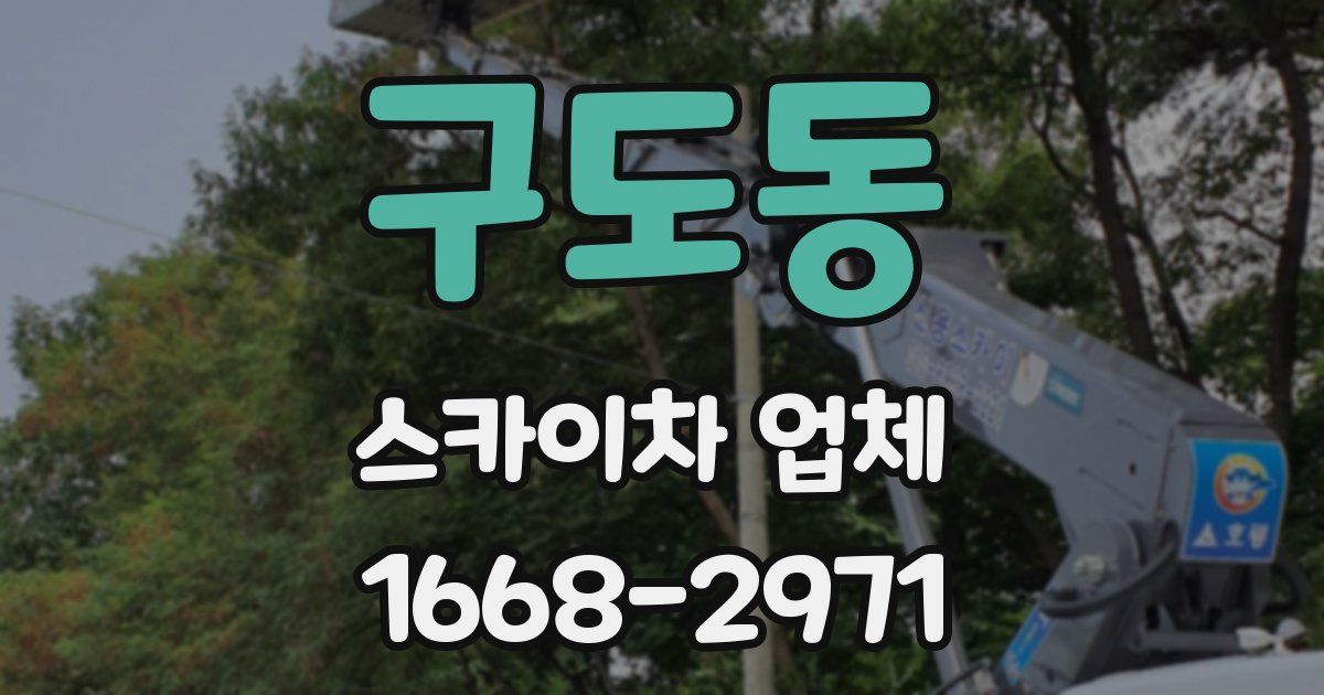 구도동 스카이차 업체
