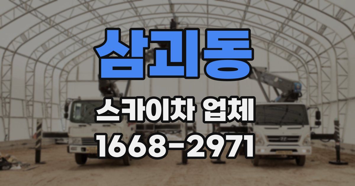 삼괴동 스카이차 업체