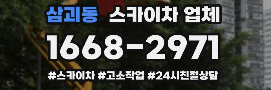 삼괴동 스카이차 업체