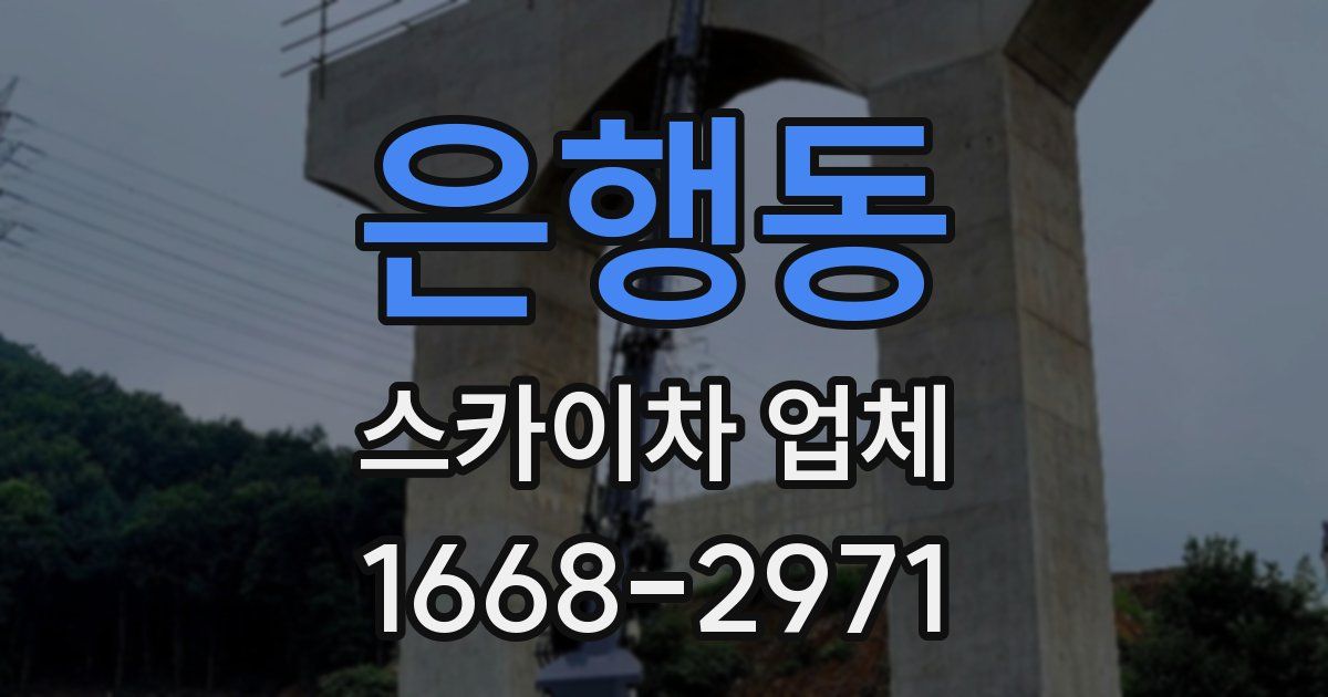 은행동 스카이차 업체