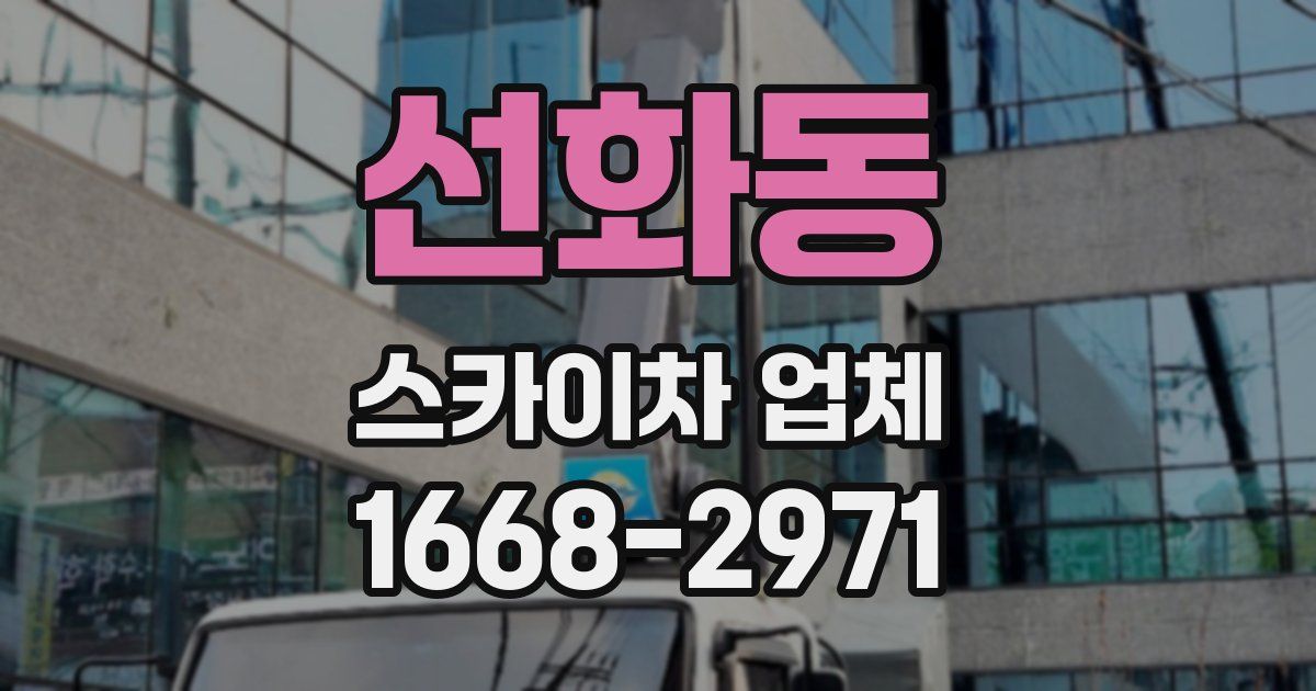 선화동 스카이차 업체