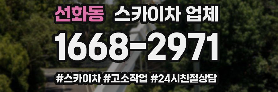 선화동 스카이차 업체