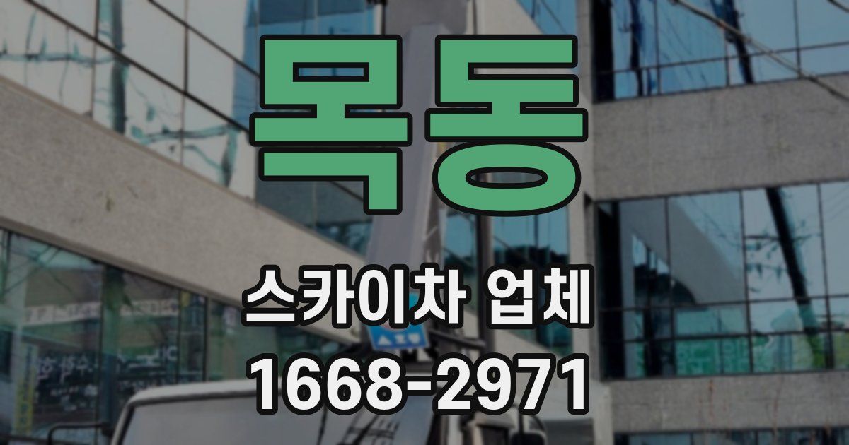 목동 스카이차 업체