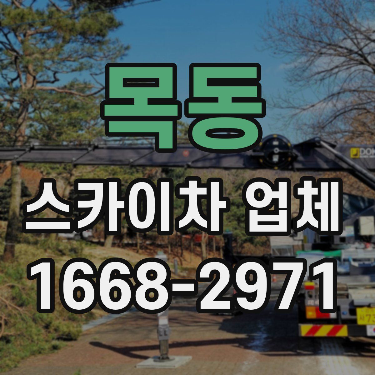 목동 스카이차 업체