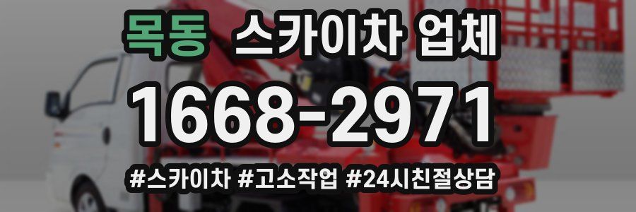 목동 스카이차 업체