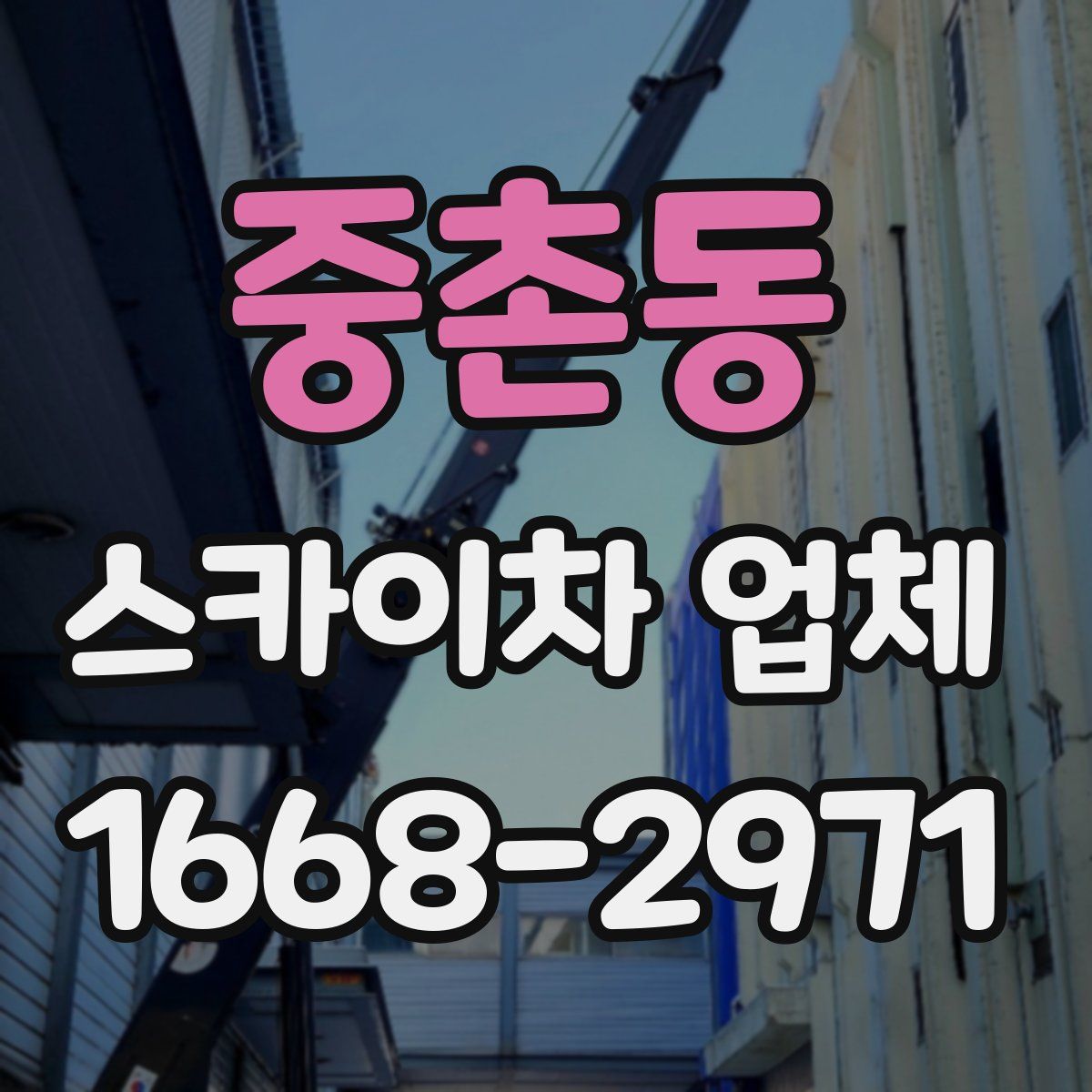 중촌동 스카이차 업체