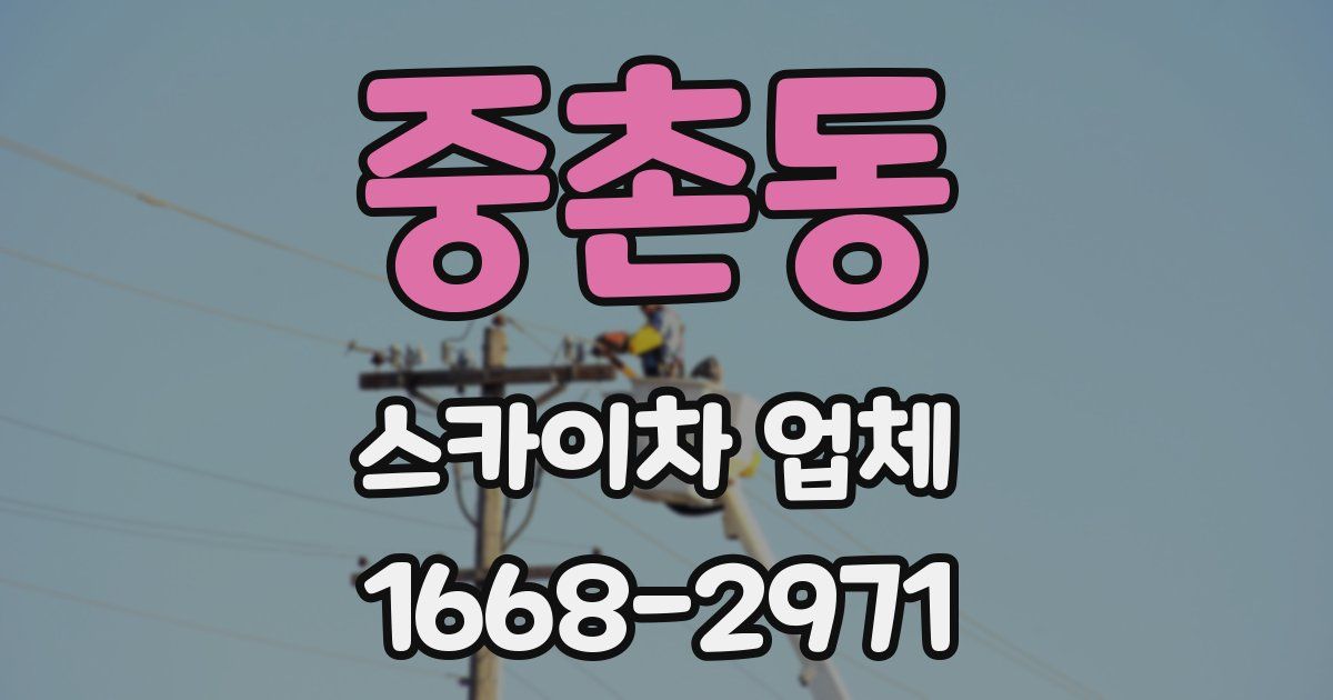 중촌동 스카이차 업체