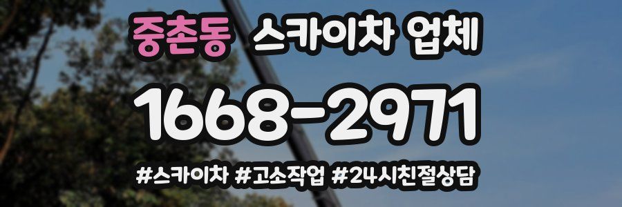 중촌동 스카이차 업체