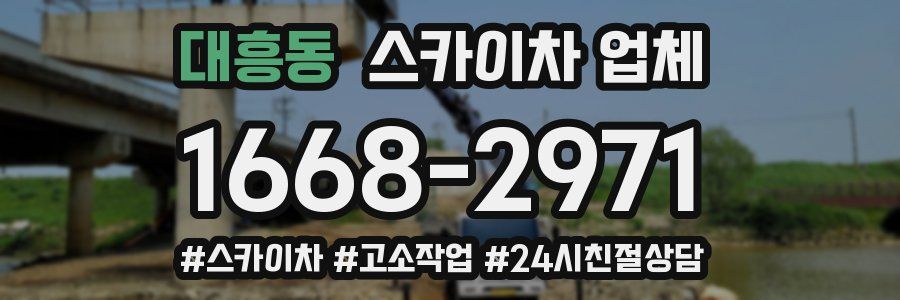 대흥동 스카이차 업체