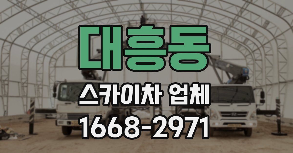 대흥동 스카이차 업체