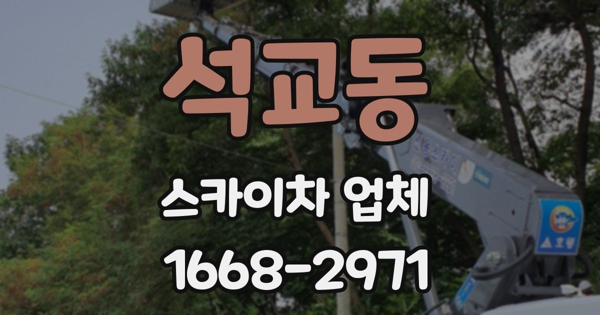석교동 스카이차 업체