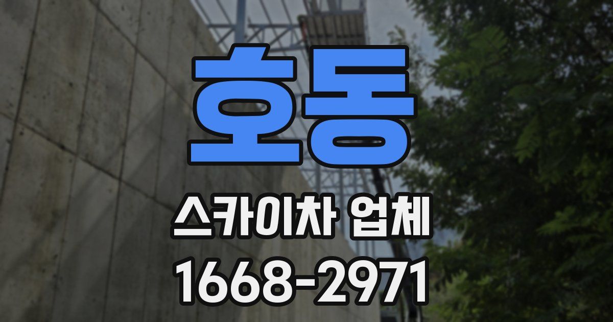 호동 스카이차 업체
