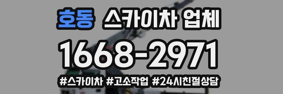 호동 스카이차 업체