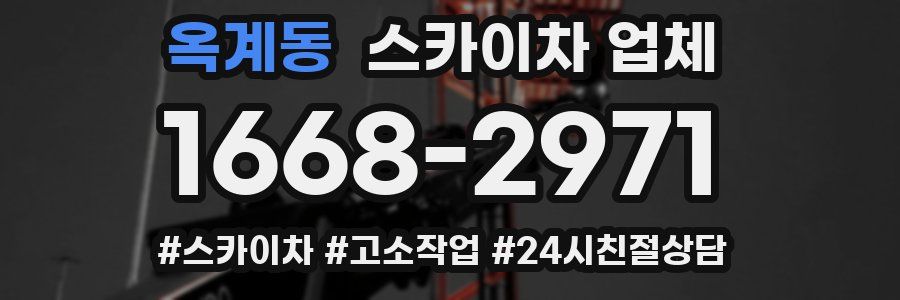 옥계동 스카이차 업체