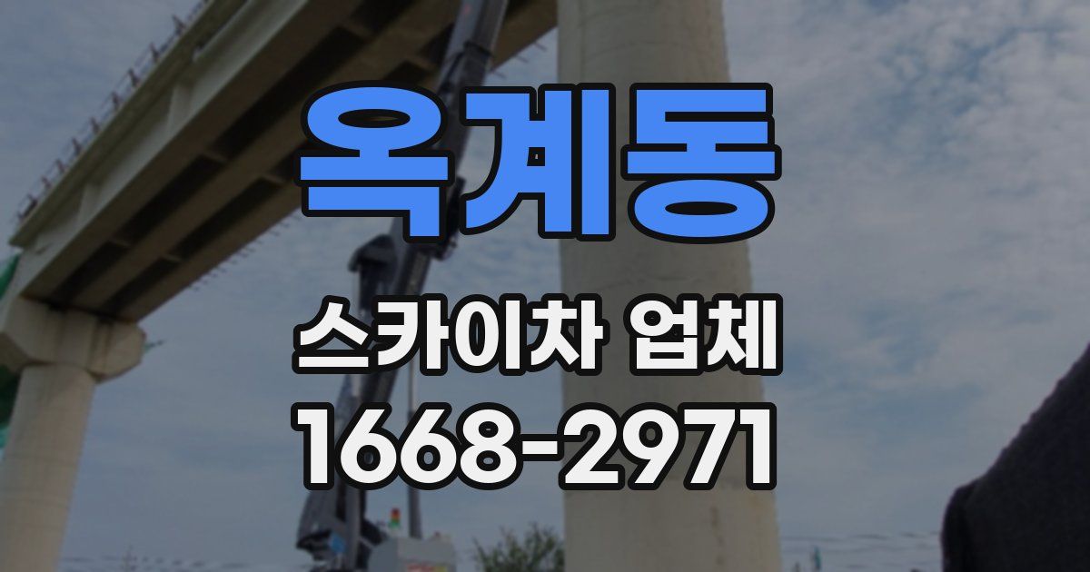 옥계동 스카이차 업체